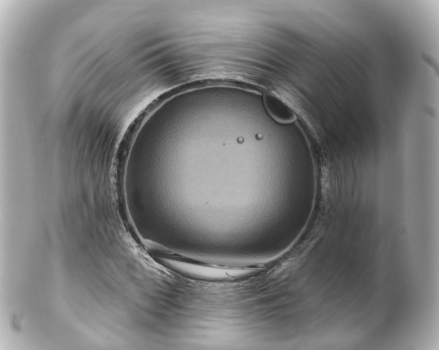 X0000100921068200807011301