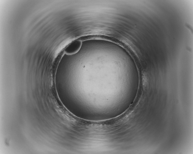 X0000100921069200807011301