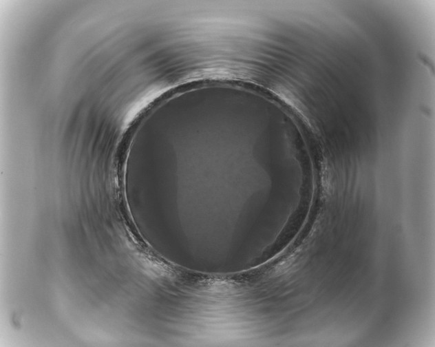 X0000100921070200807011301