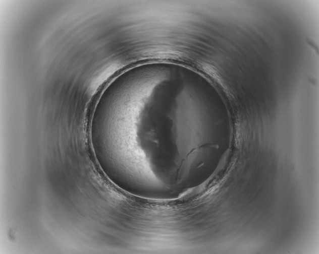 X0000100921071200807011301