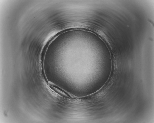 X0000100921072200807011301