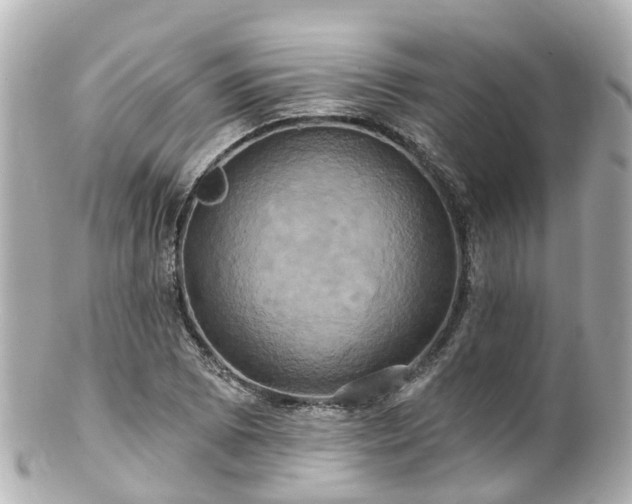 X0000100921073200807011301