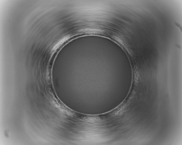 X0000100921074200807011301