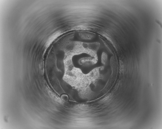 X0000100921075200807011301