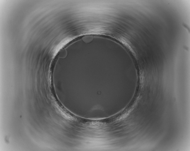 X0000100921077200807011301