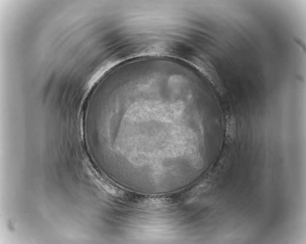 X0000100921078200807011301