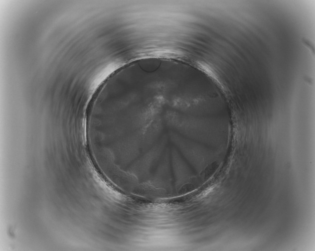 X0000100921079200807011301