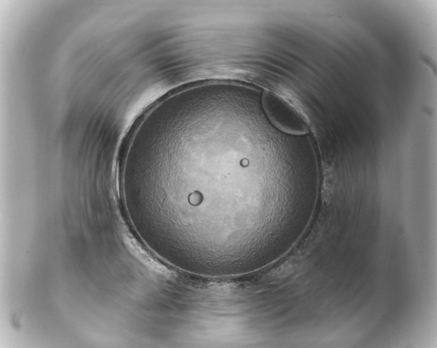 X0000100921080200807011301