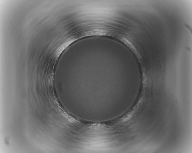 X0000100921081200807011301