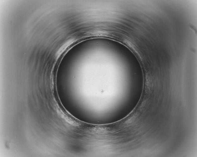 X0000100921082200807011301