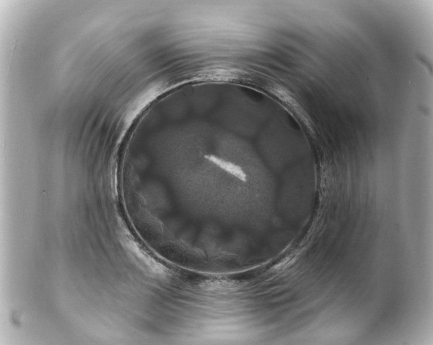 X0000100921083200807011301