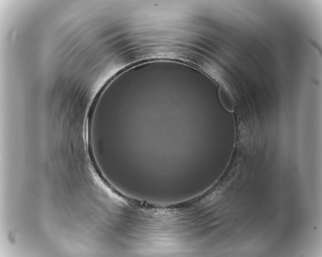 X0000100921084200807011301