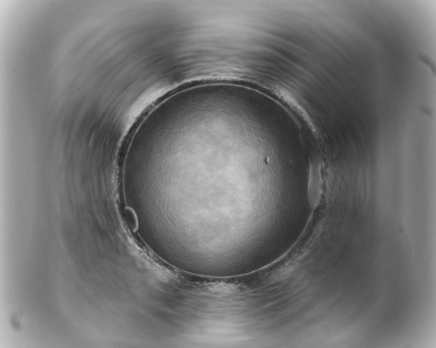 X0000100921085200807011301