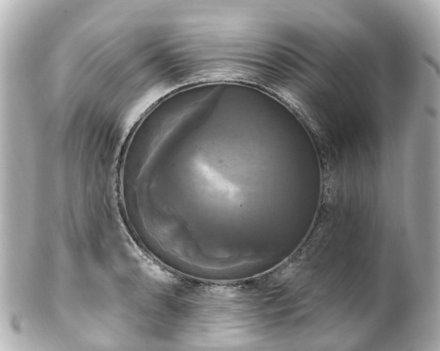 X0000100921086200807011301