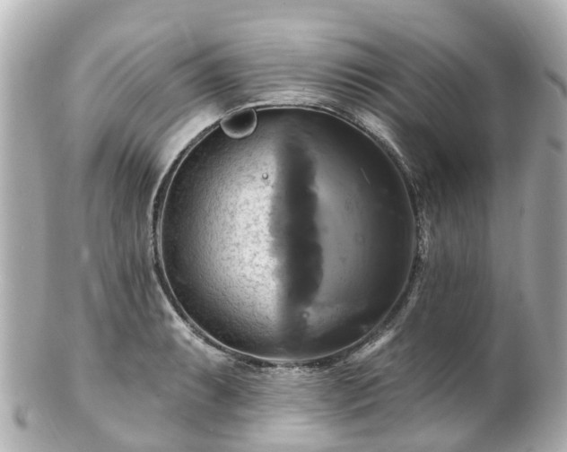 X0000100921087200807011301