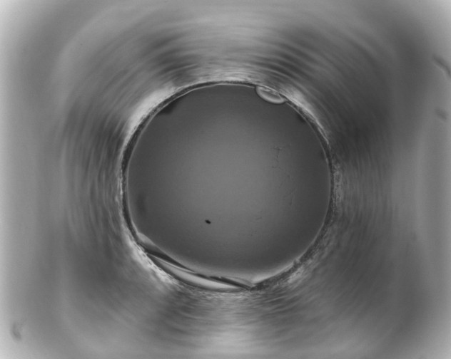 X0000100921088200807011301