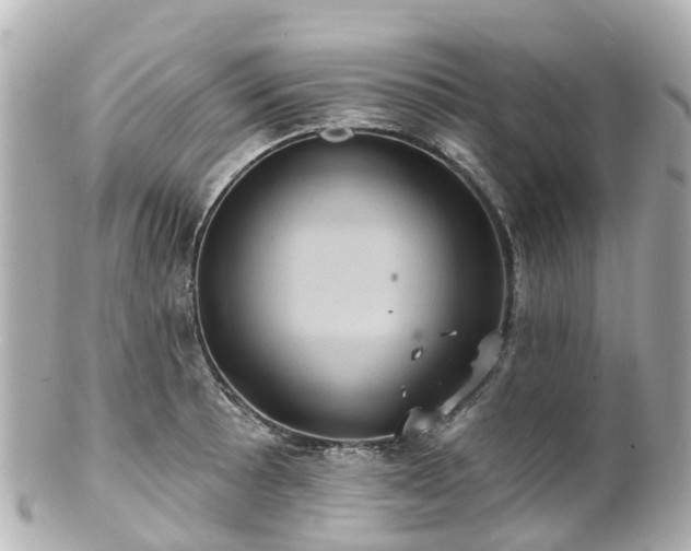 X0000100921089200807011301