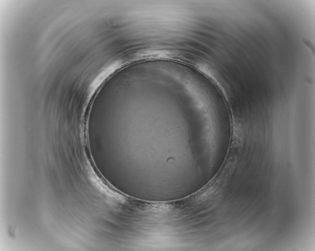 X0000100921090200807011301