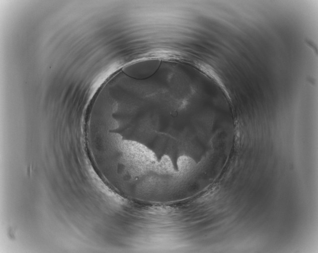 X0000100921091200807011301