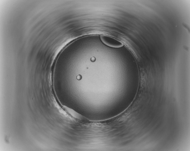 X0000100921092200807011301