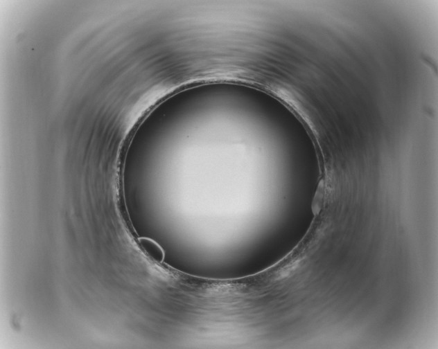 X0000100921093200807011301