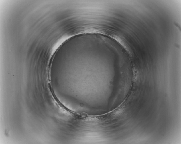 X0000100921094200807011301