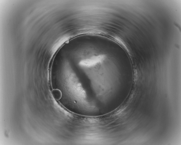 X0000100921095200807011301