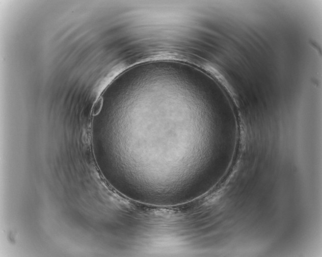 X0000100921097200807011301