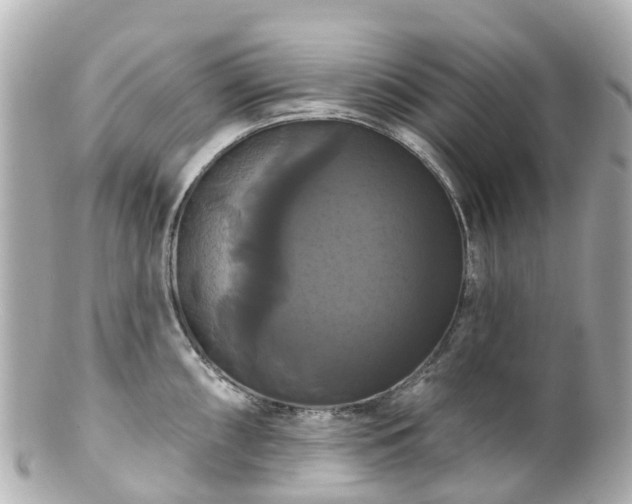 X0000100921098200807011301