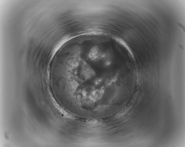 X0000100921099200807011301