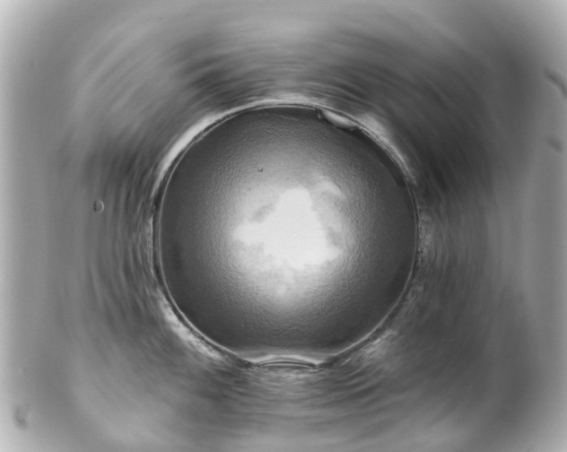 X0000100921100200807011301