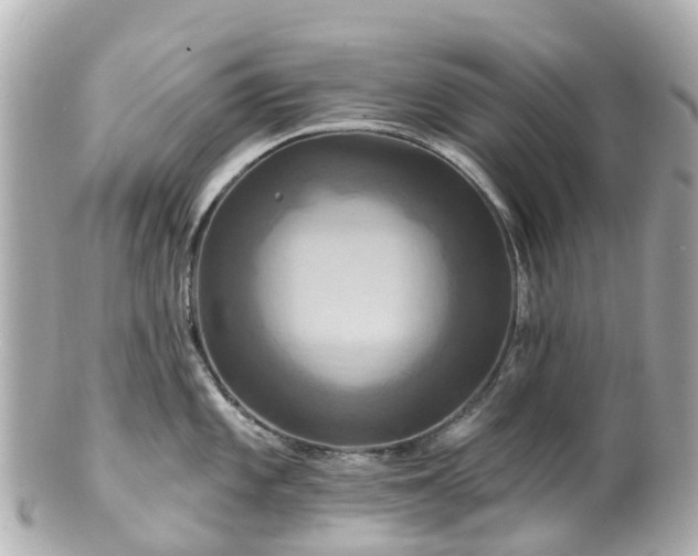 X0000100921101200807011301