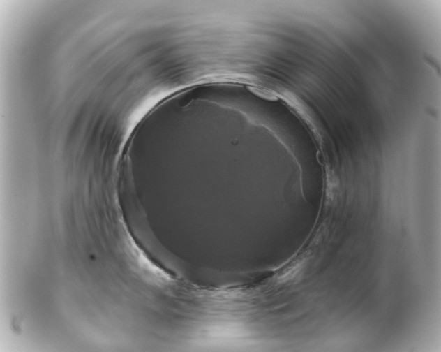 X0000100921102200807011301