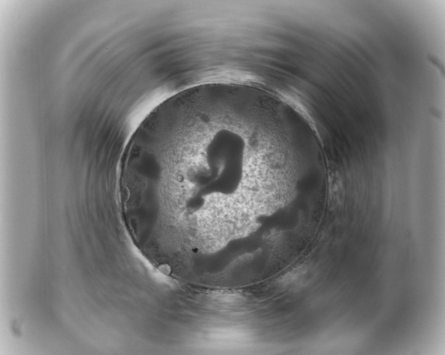 X0000100921103200807011301