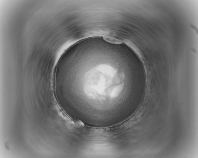 X0000100921104200807011301