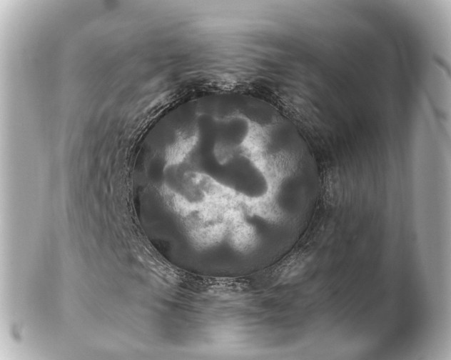 X0000100921105200807011300