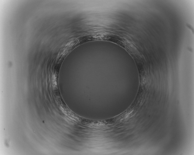 X0000100921106200807011300