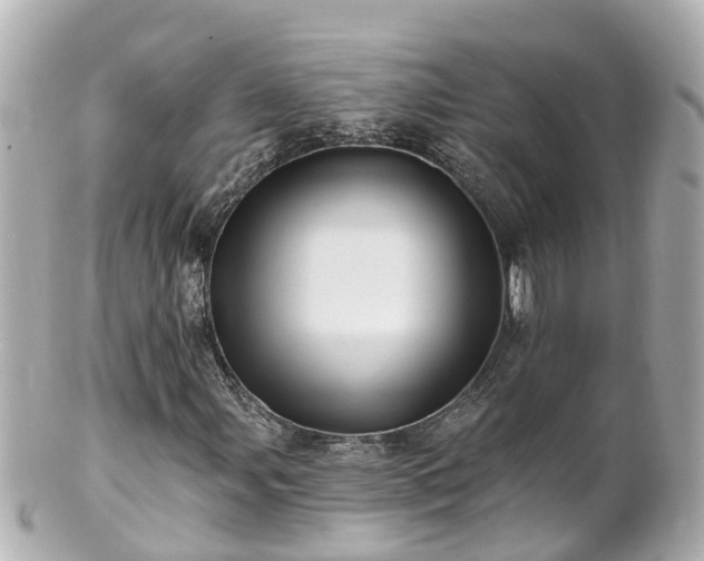 X0000100921107200807011300