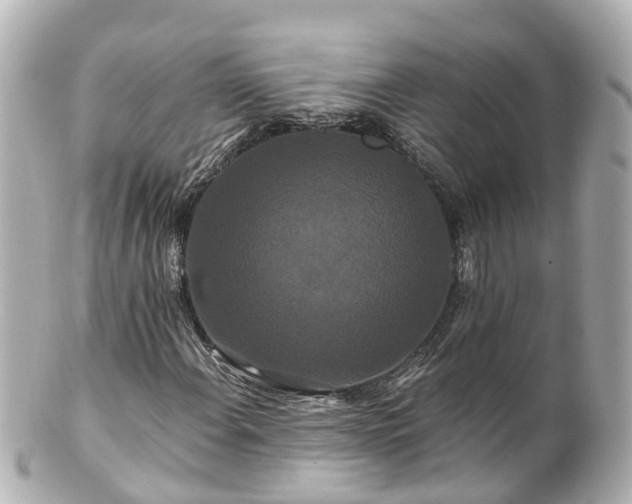 X0000100921108200807011300