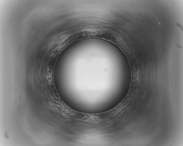 X0000100921109200807011300