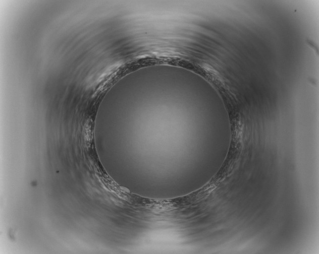 X0000100921110200807011300