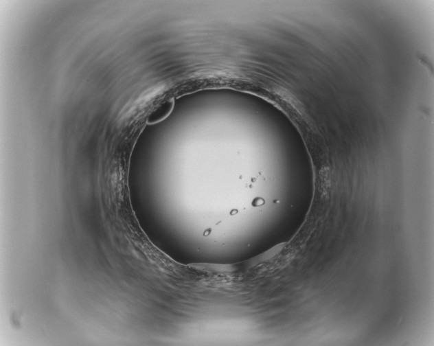 X0000100921111200807011300