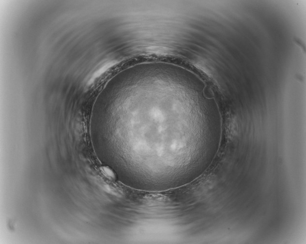 X0000100921112200807011300