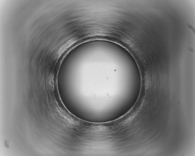 X0000100921113200807011300