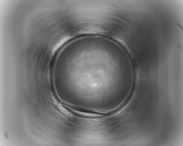 X0000100921114200807011300