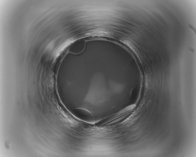 X0000100921115200807011300