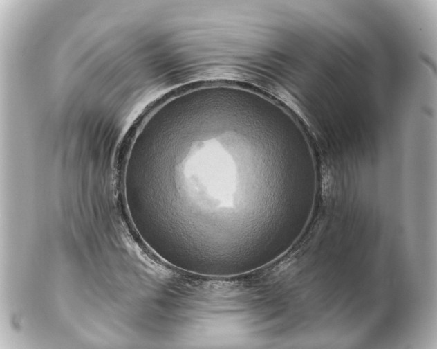 X0000100921116200807011300