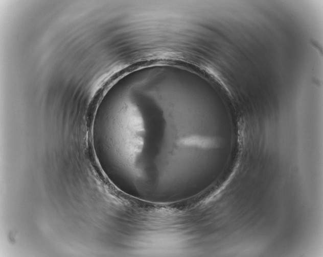 X0000100921117200807011300