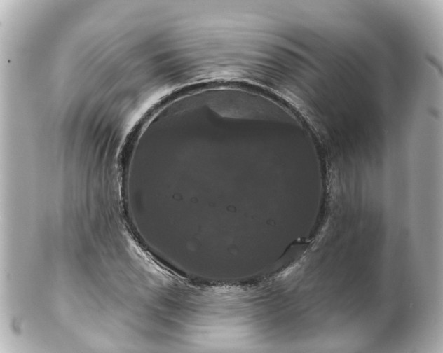 X0000100921118200807011300