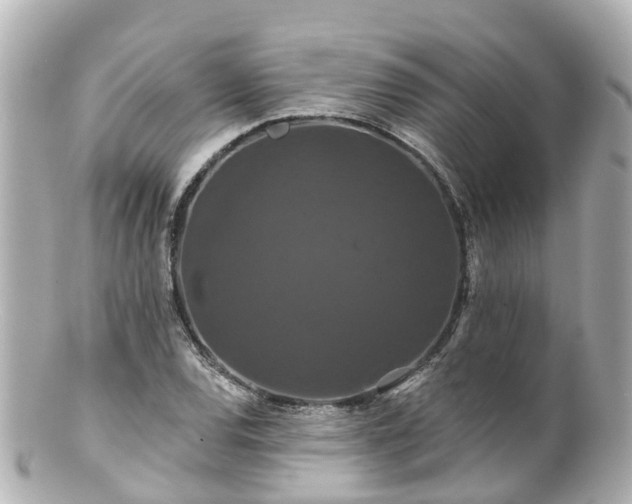 X0000100921120200807011300